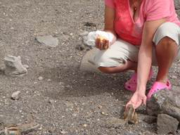 Resize of DSC02798.JPG